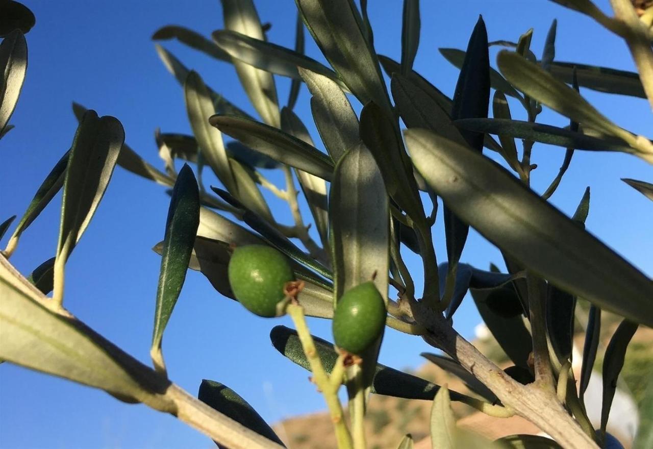 הוילה Almuñécar Algarrobo Azul מראה חיצוני תמונה