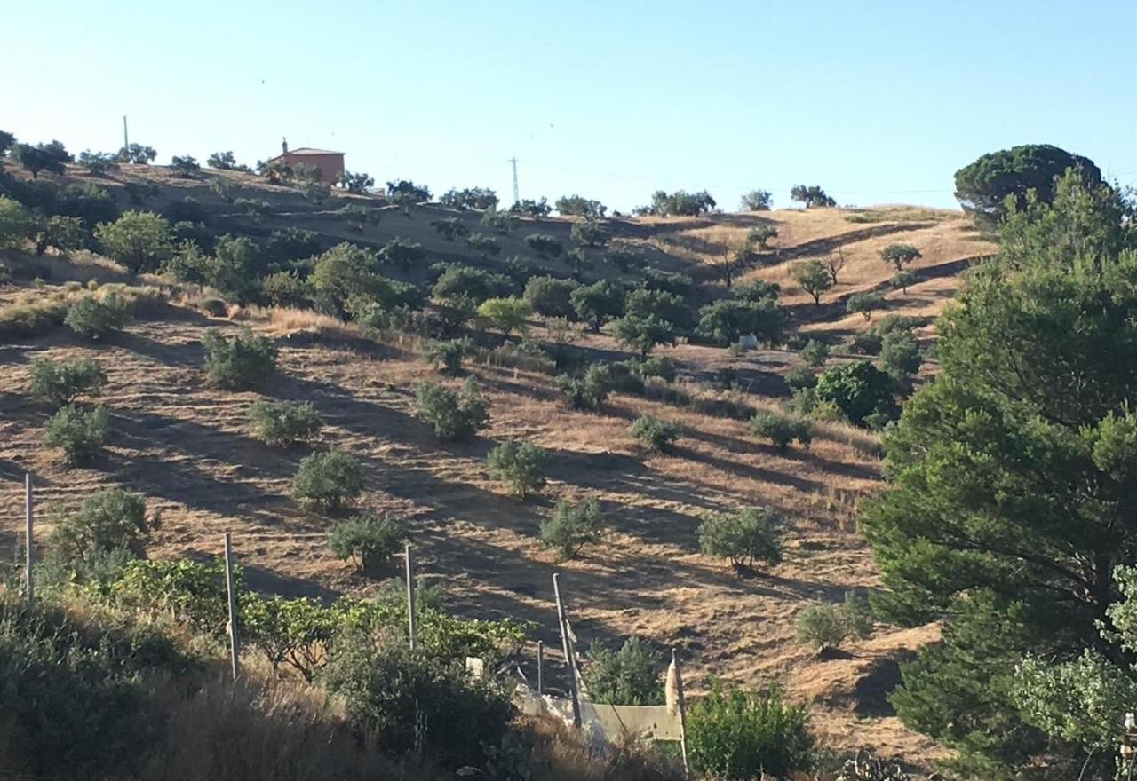 הוילה Almuñécar Algarrobo Azul מראה חיצוני תמונה