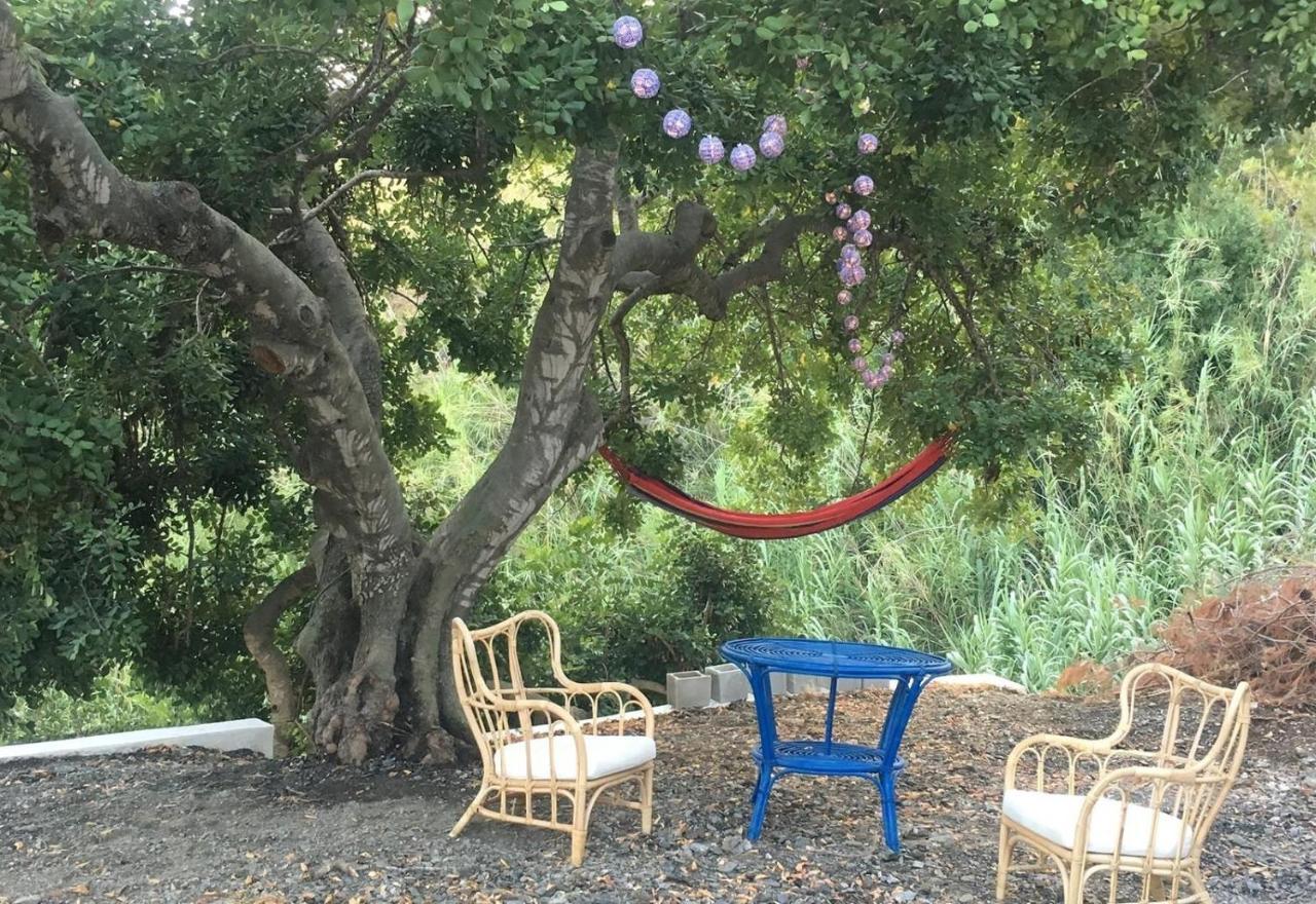 הוילה Almuñécar Algarrobo Azul מראה חיצוני תמונה