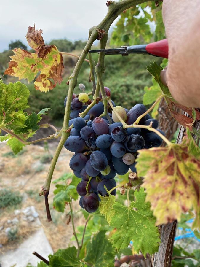 הוילה Almuñécar Algarrobo Azul מראה חיצוני תמונה